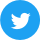 Twitter Icon